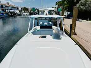 Thumbnail von Intrepid 377 WA