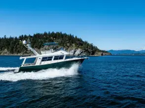 Thumbnail von Coastal Craft 400 IPS CONSEQUENCE FREE