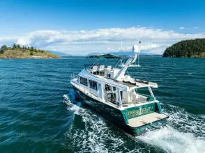 Thumbnail von Coastal Craft 400 IPS CONSEQUENCE FREE