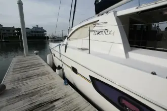 Thumbnail von Leopard 44 Folie A Deux