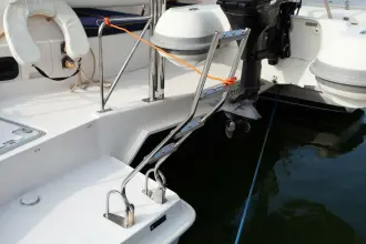 Thumbnail von Leopard 44 Folie A Deux