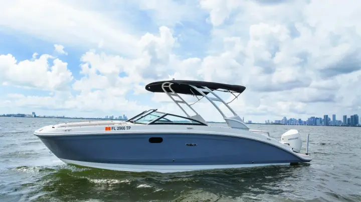 Sea Ray SDX 270 Fuoribordo