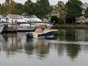 Thumbnail von Scout 277 LXF