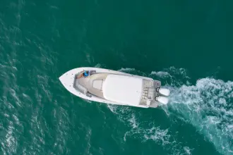 Thumbnail von Scout 305 LXF