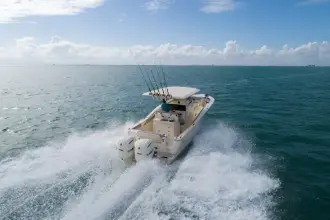 Thumbnail von Scout 305 LXF