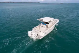 Thumbnail von Scout 305 LXF