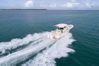 Thumbnail von Scout 305 LXF