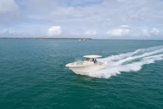 Thumbnail von Scout 305 LXF