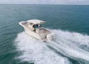 Thumbnail von Scout 305 LXF