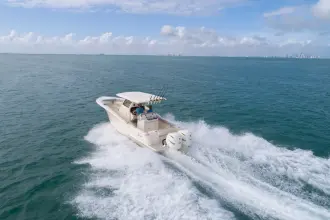 Thumbnail von Scout 305 LXF