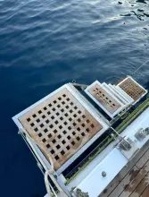 Thumbnail von Custom AKBAS GULET KETCH  Custom AKBAS GULET KETCH