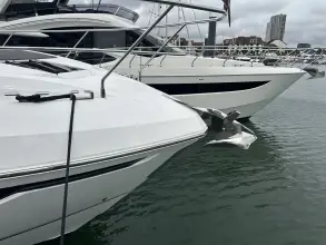 Thumbnail von Fairline Targa 45 GT