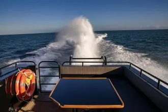 Thumbnail von Redbay Stormforce 1450 Redbay Boats Stormforce 1450