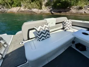 Thumbnail von Four Winns Horizon 290