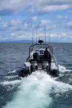 Thumbnail von Redbay Stormforce GF1050 Redbay Boats Stormforce GF1050