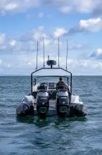 Thumbnail von Redbay Stormforce GF1050 Redbay Boats Stormforce GF1050