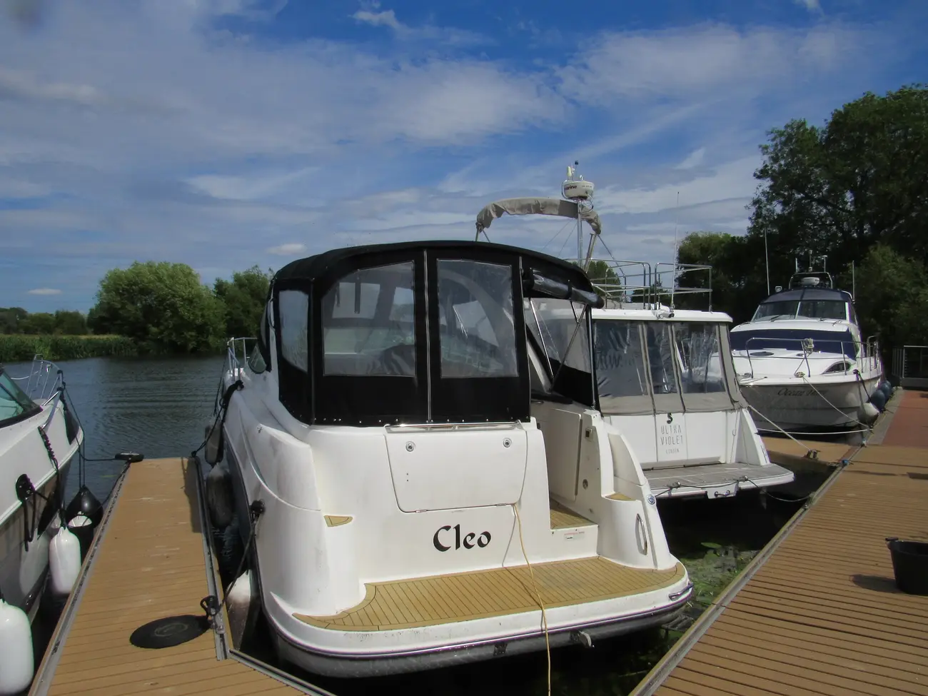 Bayliner 335 Cleo
