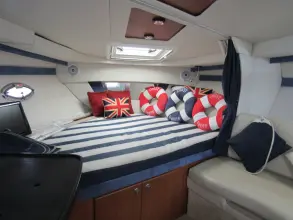 Thumbnail von Bayliner 335 Cleo