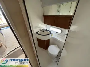 Thumbnail von Sealine F34 Dobbys Sock