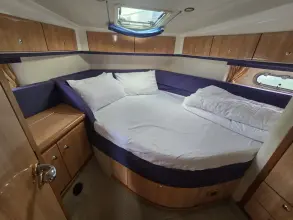 Thumbnail von Sealine F43 Javikat