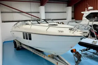 Thumbnail von Windy 29 Coho