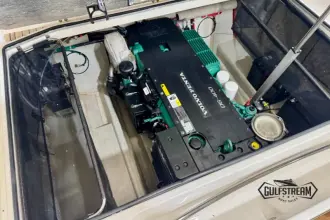 Thumbnail von Windy 29 Coho