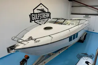 Thumbnail von Windy 29 Coho