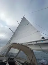 Thumbnail von Grand Soleil 50 JUNIPER