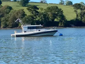 Thumbnail von Paragon 31 Flybridge