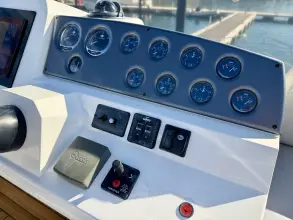 Thumbnail von Sealine F425 RAFFLES