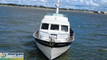 Thumbnail von Hardy Commodore 42 Himalia