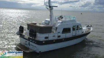 Thumbnail von Hardy Commodore 42 Himalia