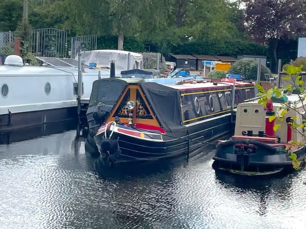 Tyler Semi trad Musetta