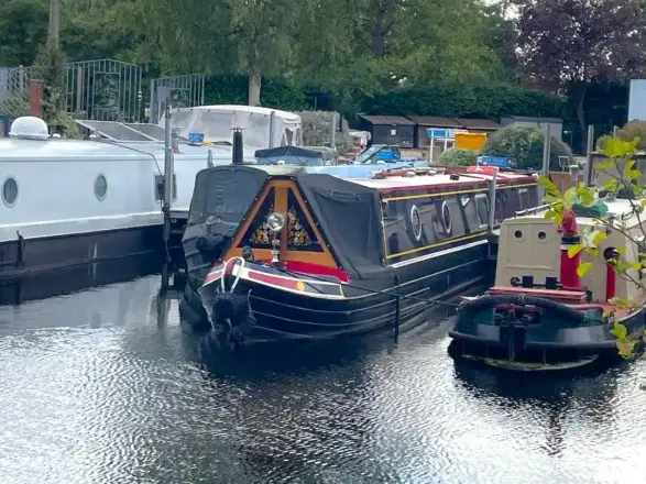 Tyler Semi trad Musetta