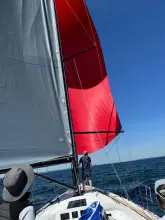 Thumbnail von X-Yachts X4.3 MkII