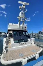 Thumbnail von Fairline Squadron 58