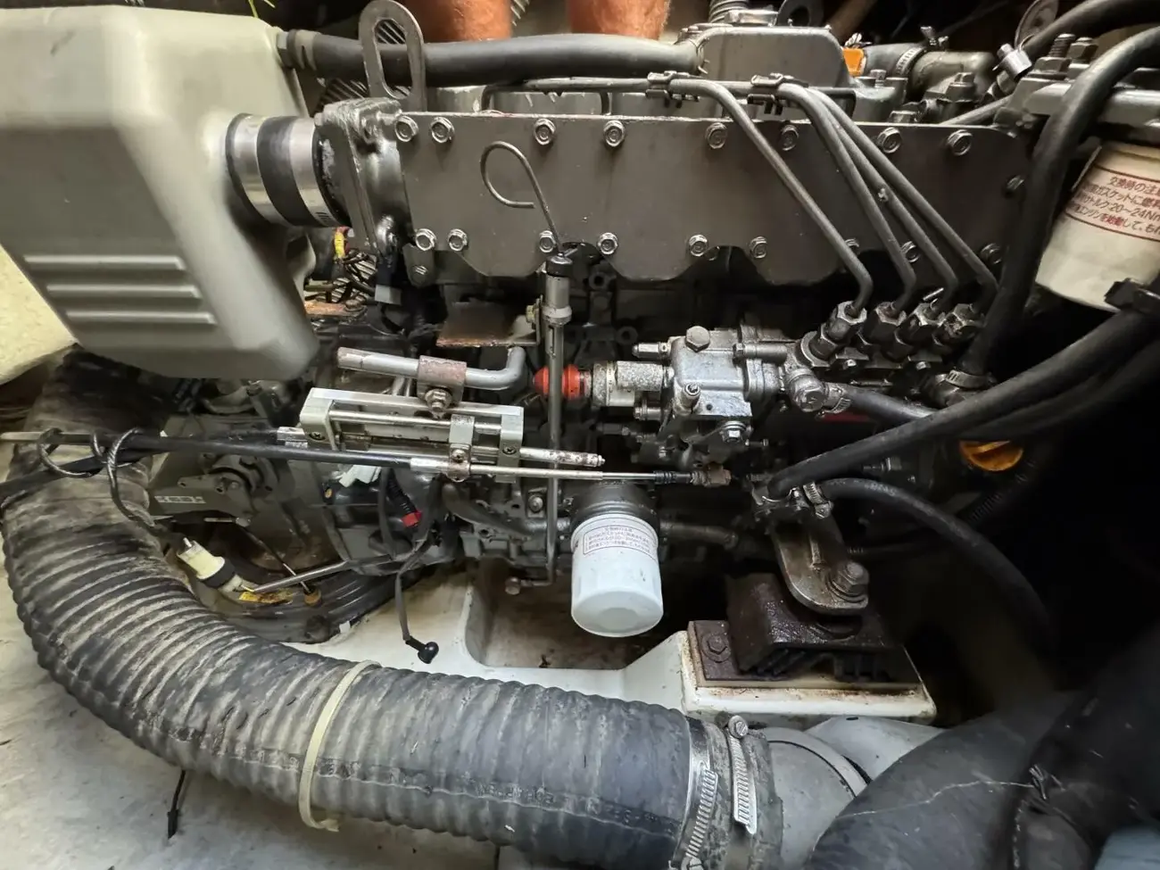 Thumbnail von Lagoon 440 Caelestis