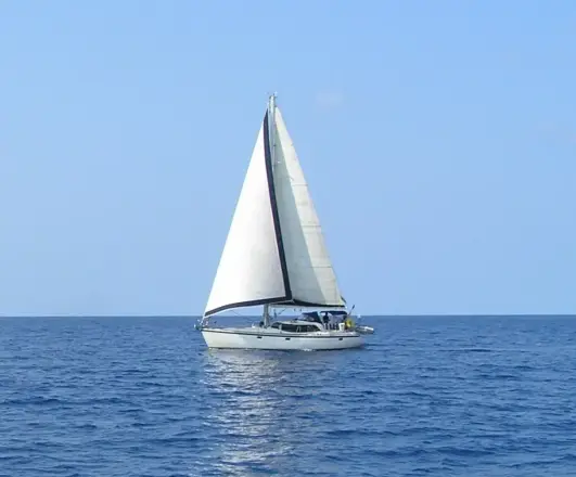 Wauquiez Pilot Saloon 43