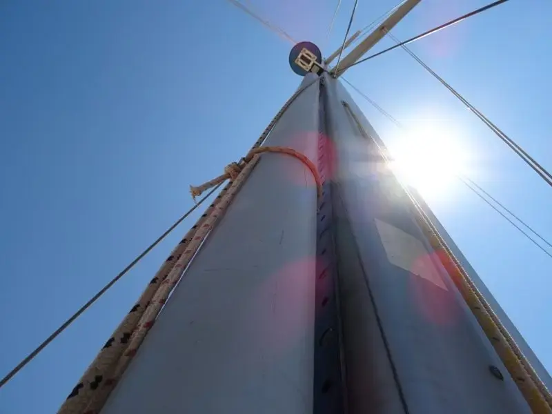 Thumbnail von Sunbeam 44