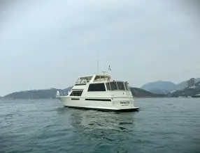 Thumbnail von Viking 54 Sport Coupe 9275778