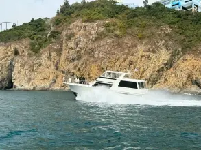 Thumbnail von Viking 54 Sport Coupe 9275778