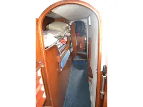 Thumbnail von Amel Mango 52