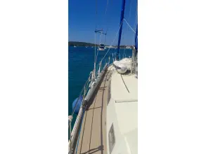 Thumbnail von Amel Mango 52