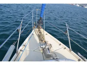 Thumbnail von Amel Mango 52