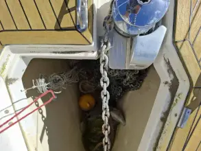 Thumbnail von Dufour 455 Grand Large