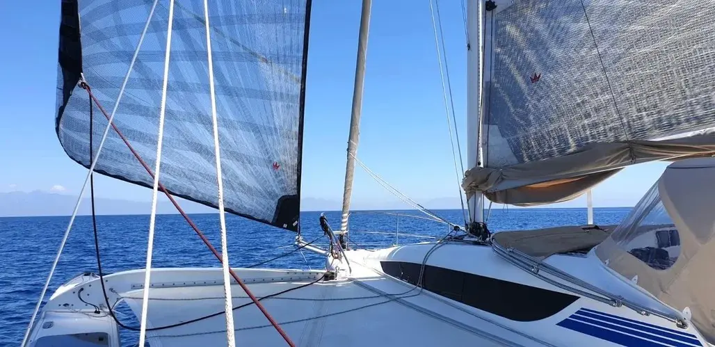 Thumbnail von Dragonfly 32 Supreme