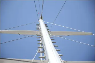 Thumbnail von Custom 55