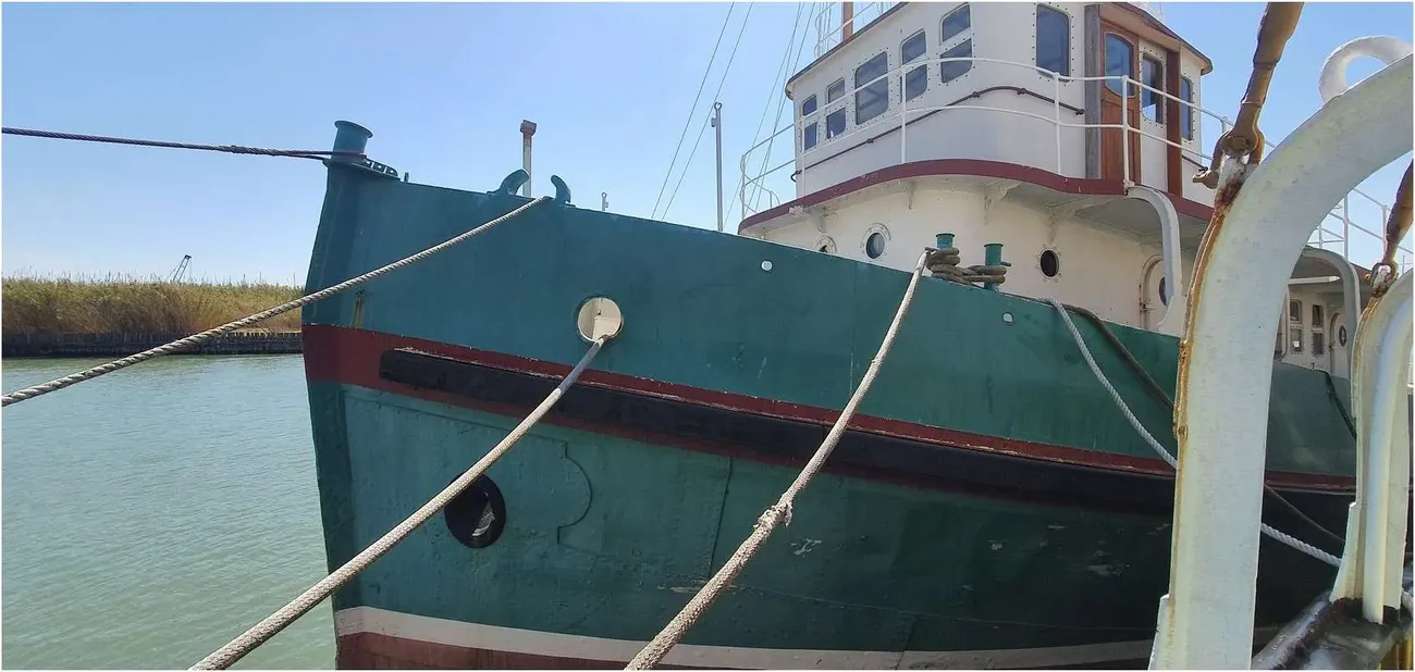 Thumbnail von Custom Ziegler Frers Tug