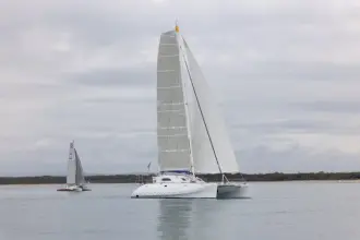 Thumbnail von Latini Marine Cat 43