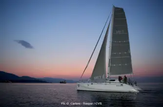 Thumbnail von Latini Marine Cat 43